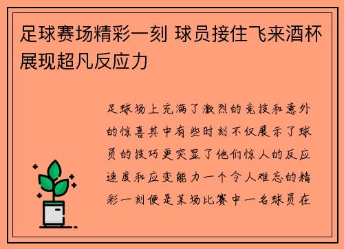 足球赛场精彩一刻 球员接住飞来酒杯展现超凡反应力