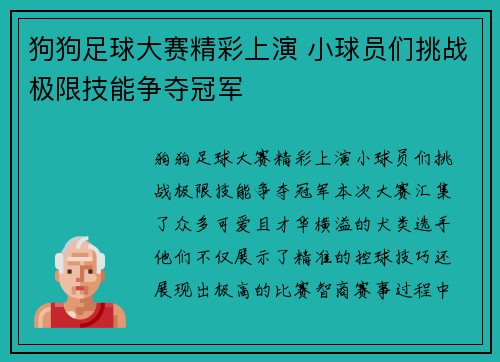 狗狗足球大赛精彩上演 小球员们挑战极限技能争夺冠军