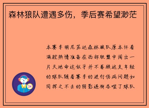 森林狼队遭遇多伤，季后赛希望渺茫