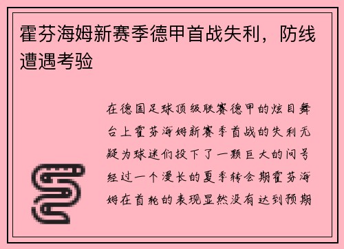 霍芬海姆新赛季德甲首战失利，防线遭遇考验